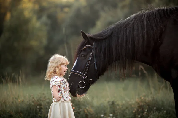 Kleines Mädchen mit Grammypferd — Stockfoto