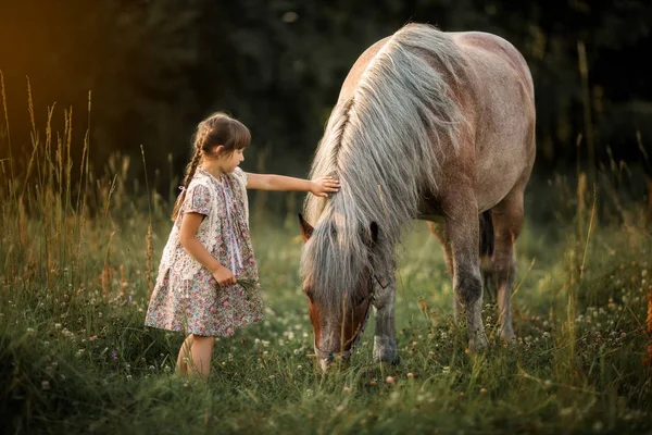 Klein meisje met paard — Stockfoto