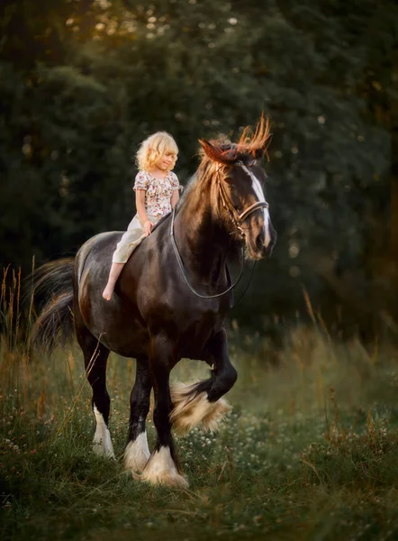 Κοριτσάκι με shire horse — Φωτογραφία Αρχείου