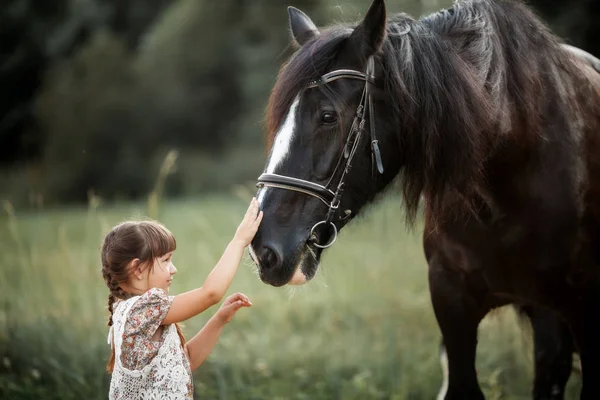 Petite fille avec cheval shire — Photo