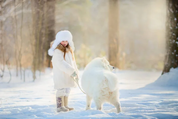 Invierno chica retrato con samoyed perro —  Fotos de Stock