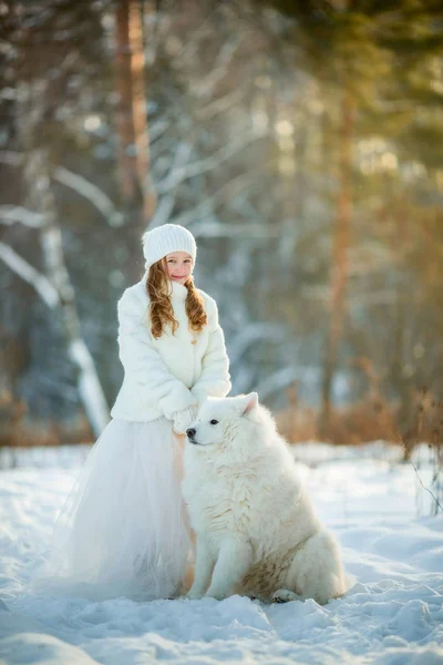 Retrato de menina de inverno com cão samoyed — Fotografia de Stock