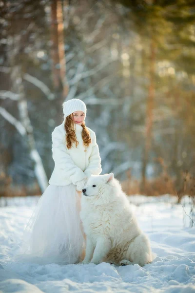 Vintern flicka stående med samojedvalpar hund — Stockfoto