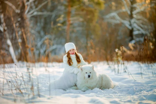サモエド犬と冬の少女の肖像画 — ストック写真