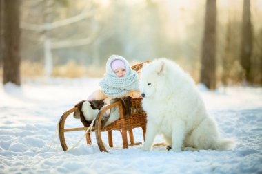 Kış çocuk portre ile samoyed köpek