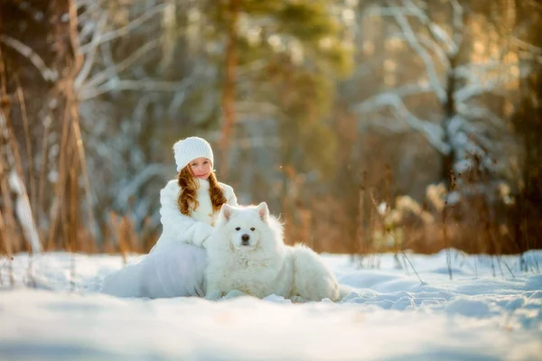 Winter meisje portret met Samojeed hond — Stockfoto