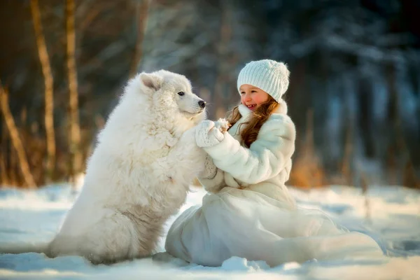 サモエド犬と冬の少女の肖像画 — ストック写真