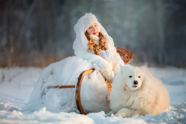 冬天女孩画像与萨摩耶狗 — 图库照片