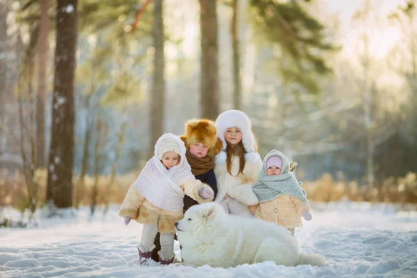 Zimą dzieci portret z psem samojeda — Zdjęcie stockowe