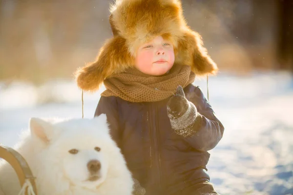 Зимний Смешной Портрет Мальчика Самоедом Собаки Солнечном Парке — стоковое фото