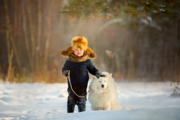 冬日滑稽男孩肖像与萨摩耶狗在阳光公园 — 图库照片