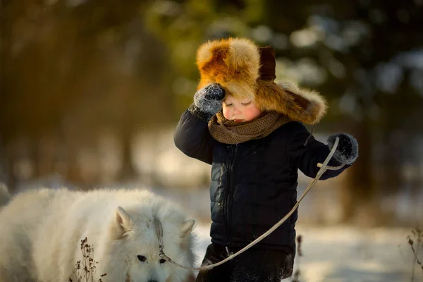 Invierno Divertido Retrato Niño Con Perro Samoyed Parque Soleado — Foto de Stock