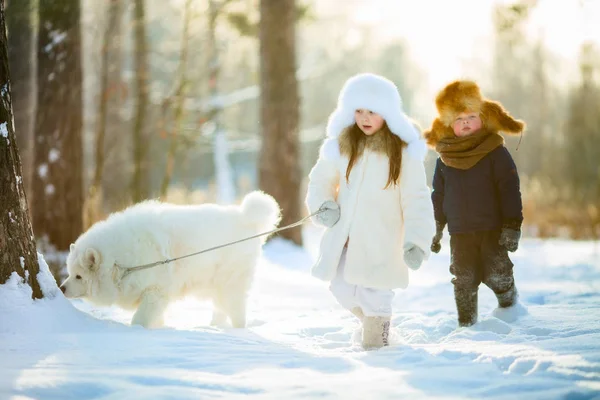 Retrato de crianças de inverno com cão samoyed — Fotografia de Stock