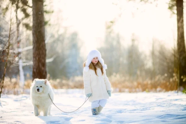 Vintern flicka stående med samojedvalpar hund — Stockfoto