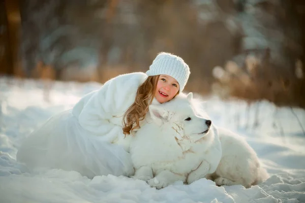 サモエド犬と冬の少女の肖像画 — ストック写真