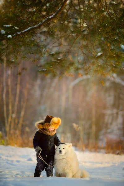 Winter Grappige Jongen Portret Met Samojeed Hond Zonnig Park — Stockfoto