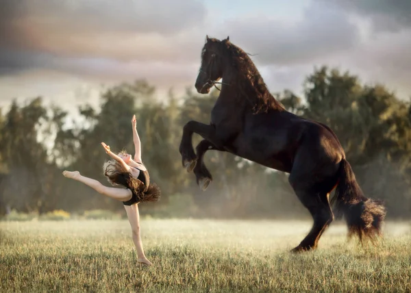 Little ballerina girl with black friesian stallion — Stock Photo, Image
