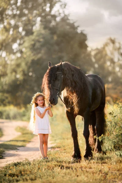 Kleines Mädchen mit schwarzem Friesenhengst — Stockfoto