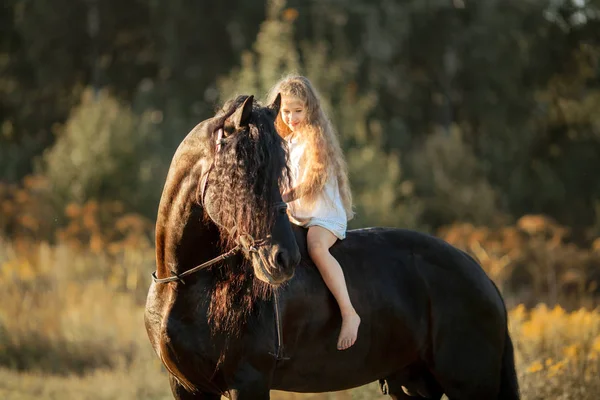 Liten flicka med svarta frisiska hingsten — Stockfoto