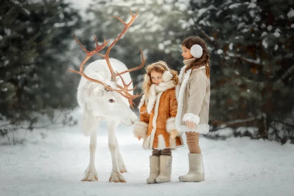 Niñas Retrato Con Ciervos Blancos Bosque Invierno — Foto de Stock