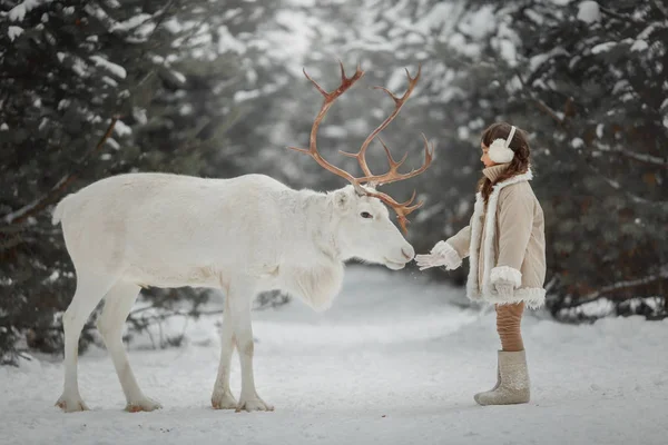 Kleine Meisjes Portret Met Witte Herten Winter Forest — Stockfoto