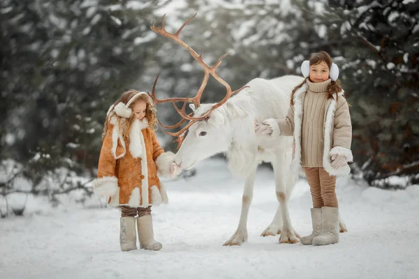 Små Flickor Porträtt Med Vita Hjortar Vinter Skog — Stockfoto