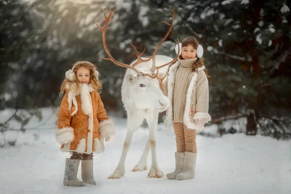 Små Flickor Porträtt Med Vita Hjortar Vinter Skog — Stockfoto