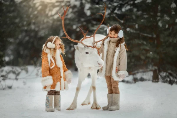 Små Flickor Porträtt Med Vita Hjortar Vinter Skog — Stockfoto