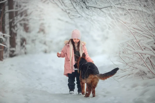 Retrato Bela Menina Filhote Cachorro Floresta Inverno — Fotografia de Stock