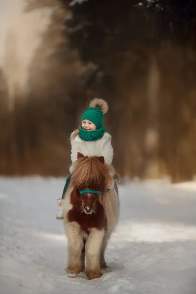 Little Girl Pinto Pony Winter Park — Stock Photo, Image