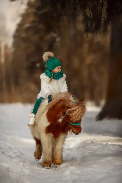 Niña Con Pony Pinto Parque Invierno —  Fotos de Stock