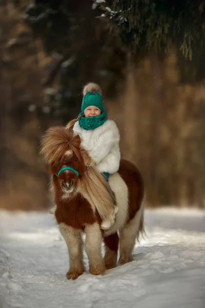 Liten Flicka Med Pinto Ponny Vinterparken — Stockfoto