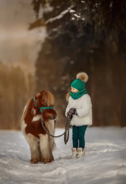 小女孩与 Pinto 小马在冬天公园 — 图库照片