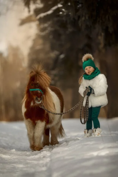 Маленькая Девочка Пинто Пони Зимнем Парке — стоковое фото