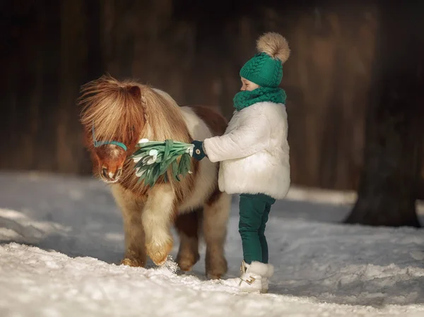 Liten Flicka Med Pinto Ponny Vinterparken — Stockfoto