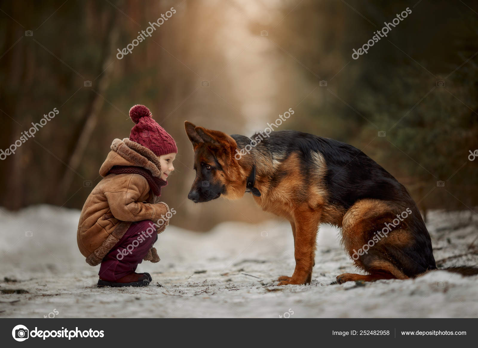 Girl With German Shepherd Little Girl German Shepherd Months Puppy