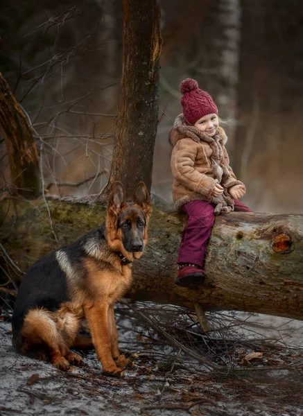 Kleines Mädchen Mit Schäferhund Monate Welpe Frühjahrswald — Stockfoto