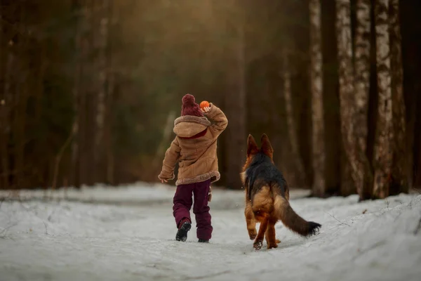 Kleines Mädchen Mit Schäferhund Monate Welpe Frühjahrswald — Stockfoto