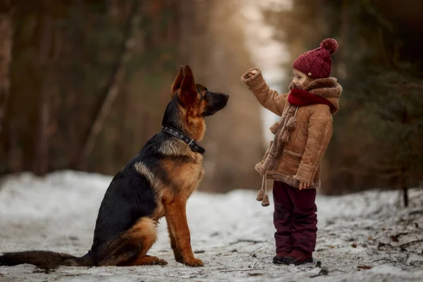 Meisje Met Duitse Herder Maanden Puppy Bij Vroege Voorjaar Forest — Stockfoto