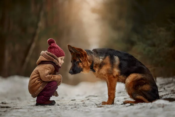 Kleines Mädchen Mit Schäferhund Monate Welpe Frühjahrswald — Stockfoto