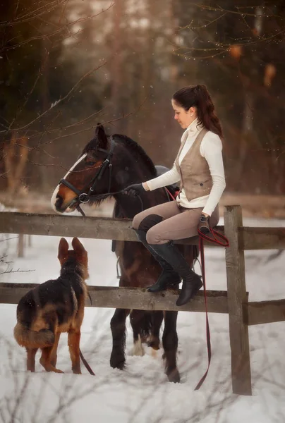 Junge Schöne Frau Mit Pferd Und Schäferhund Freien Porträt Frühlingstag — Stockfoto