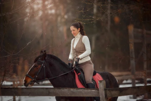 Giovane Bella Donna Con Cavallo Ritratto All Aperto Giorno Primavera — Foto Stock