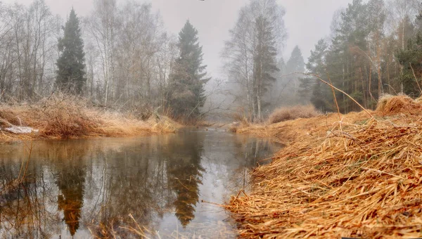 Neblige Landschaft mit Wald und Fluss am Morgen — Stockfoto