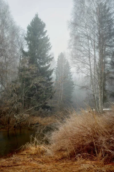 Paisaje brumoso con bosque y río por la mañana —  Fotos de Stock