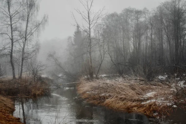 Paysage brumeux avec forêt et rivière le matin — Photo