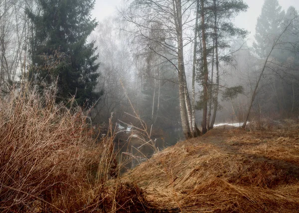 Paisaje brumoso con bosque y río por la mañana —  Fotos de Stock