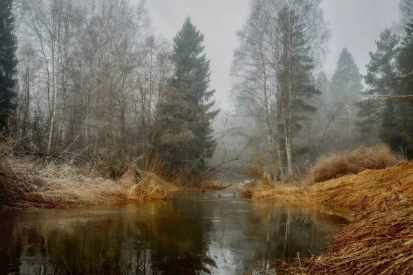 Paysage brumeux avec forêt et rivière le matin — Photo