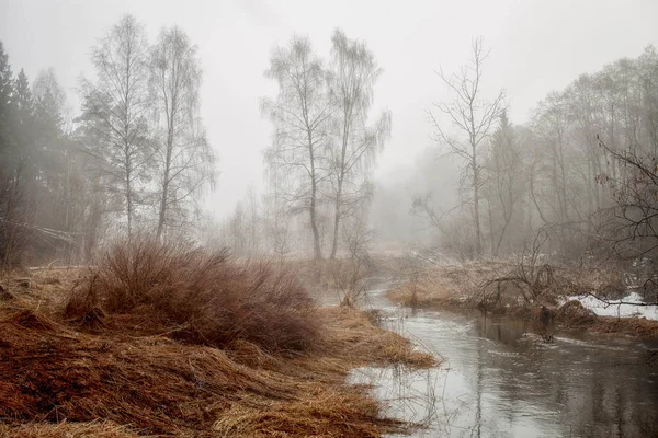 Туманный пейзаж с лесом и рекой по утрам — стоковое фото