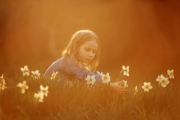 Little girl outdoor portrait near narcissus — Stock Photo, Image