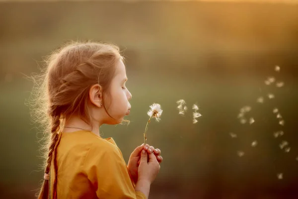 吹蒲公英花的小女孩 — 图库照片